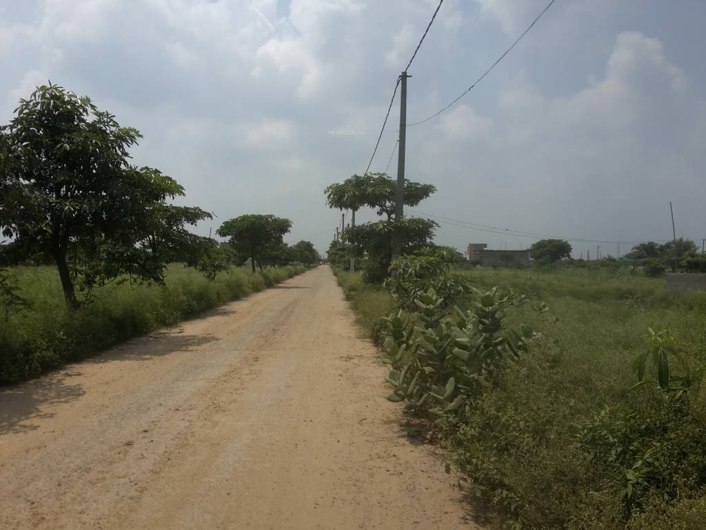 Images for mainOther