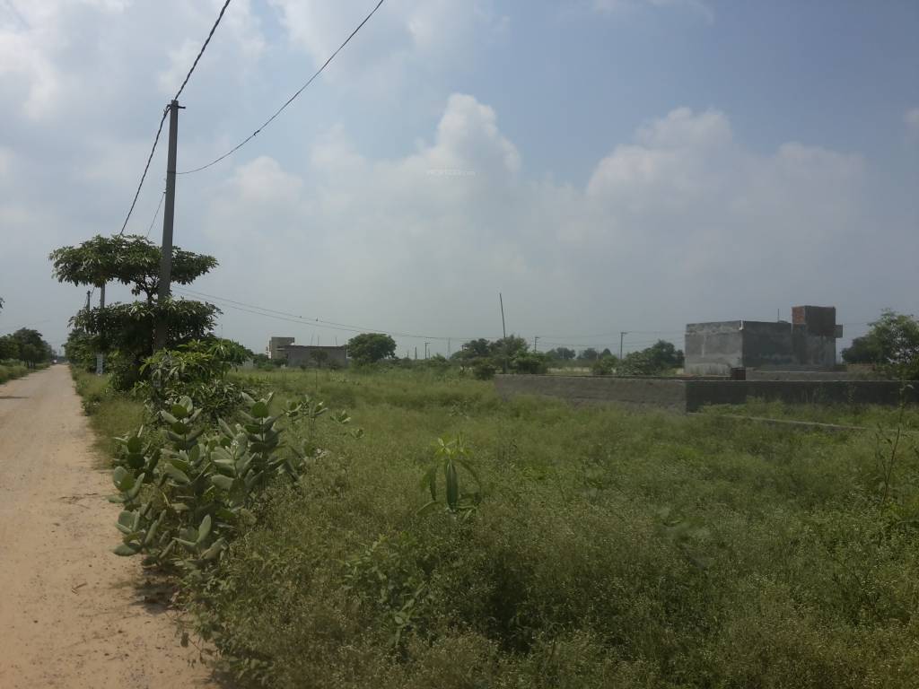 Images for mainOther