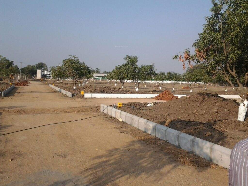 Images for Main Other of Avigna Mango Farms