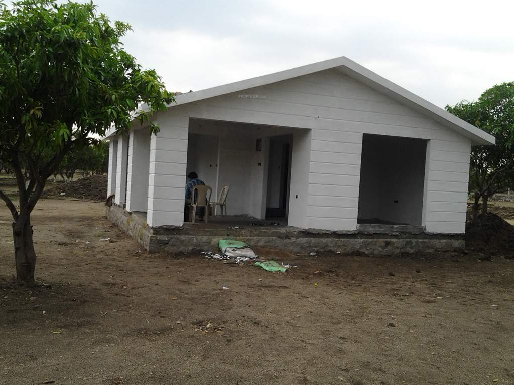 Images for Main Other of Avigna Mango Farms