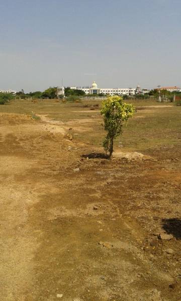 success-property-enterprises caanan-nagar Main Other