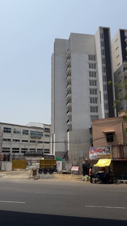  monte carlo Images for Project