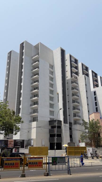  monte carlo Images for Project