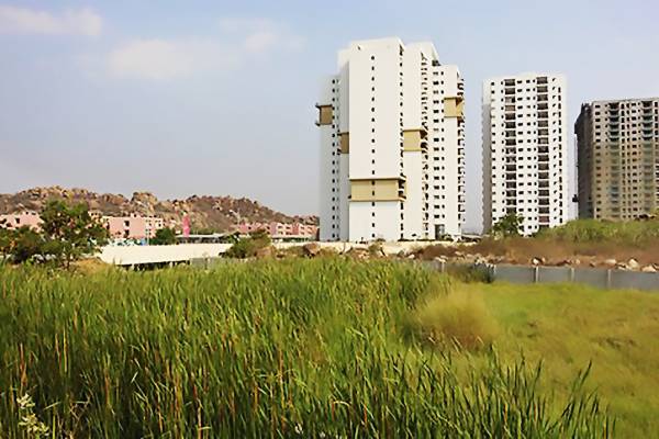 Images for Elevation of PBEL Pearl At City