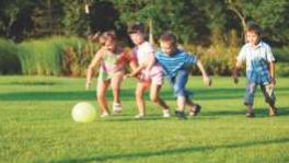  premium-24 Landscaped Gardens