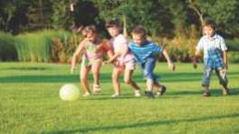 premium 24 Landscaped Gardens