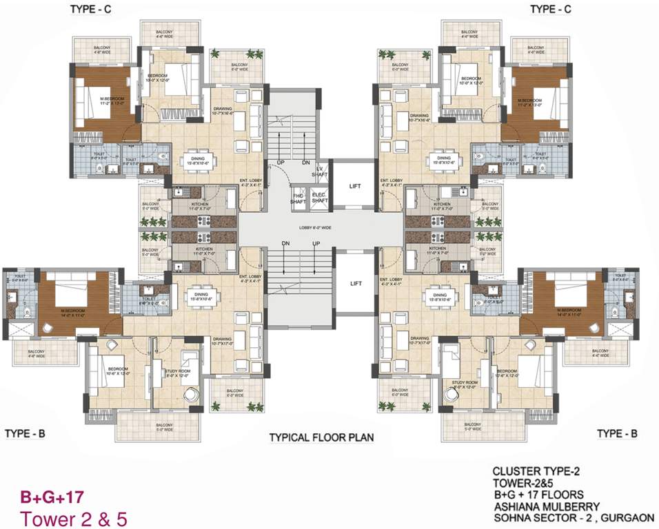  mulberry Images for Cluster Plan of Ashiana Mulberry