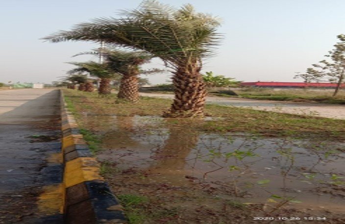  alaknanda plots Plot