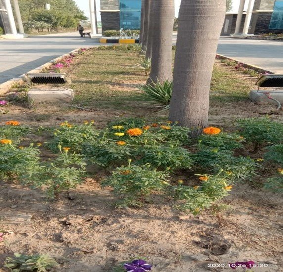  alaknanda plots Plot