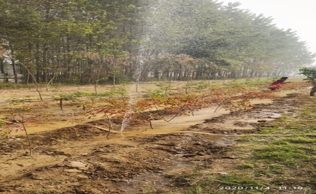  alaknanda plots Plot