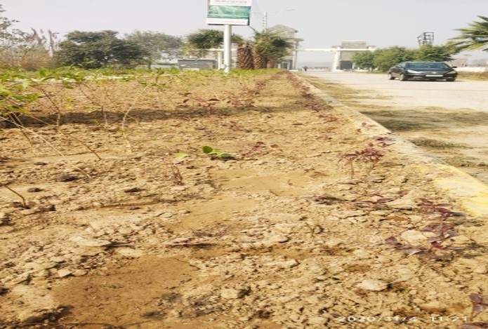  alaknanda plots Plot