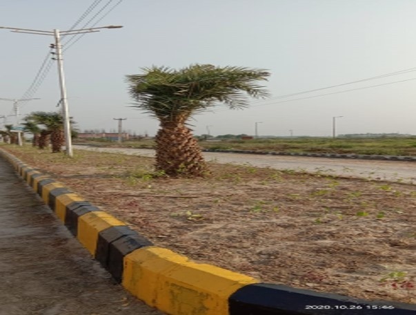  alaknanda plots Plot