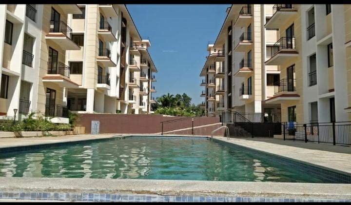  niama valley Elevation