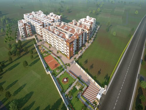 Images for Elevation of Advaita Blossom blossom Images for Elevation of Advaita Blossom