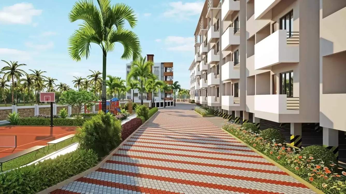  blossom Basketball Court