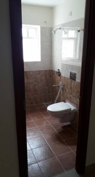 Bathroom blossom Bathroom