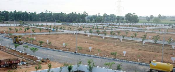 Images for Main Other of Vertex Gardenia