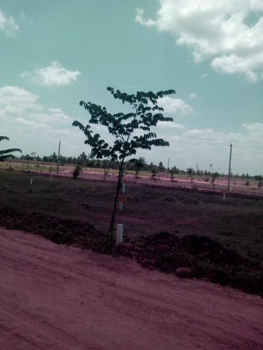 Images for Main Other of Dhatri Hanuman Junction