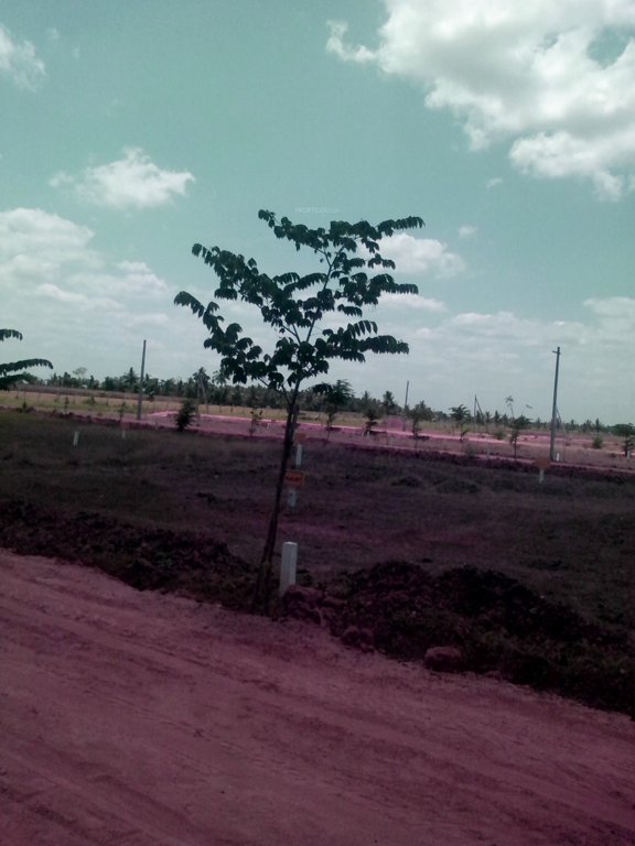 Images for Main Other of Dhatri Hanuman Junction