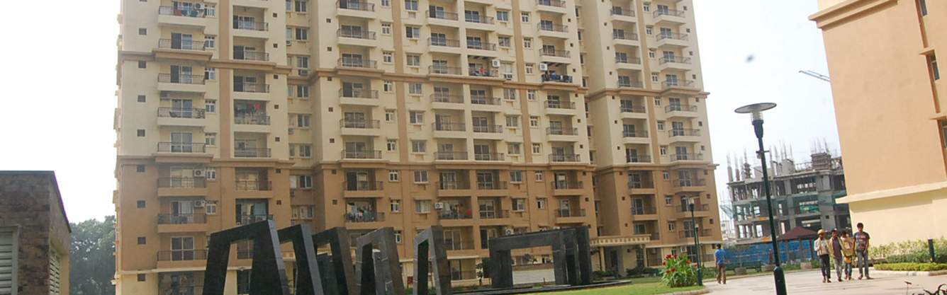  the royal lagoon Images for Elevation of Sj The Royal Lagoon