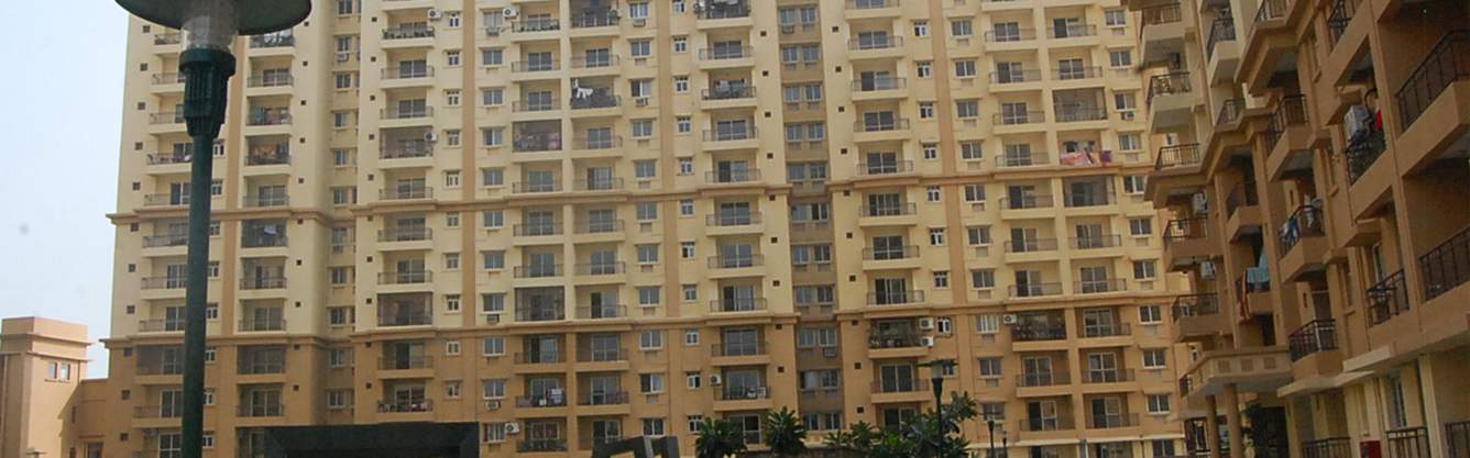  the royal lagoon Images for Elevation of Sj The Royal Lagoon