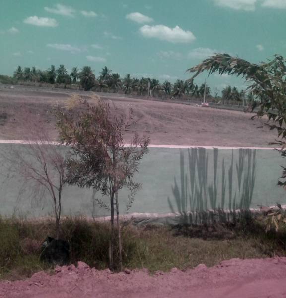 Images for Main Other of Aditya Capital Township Images for Main Other of Aditya Capital Township