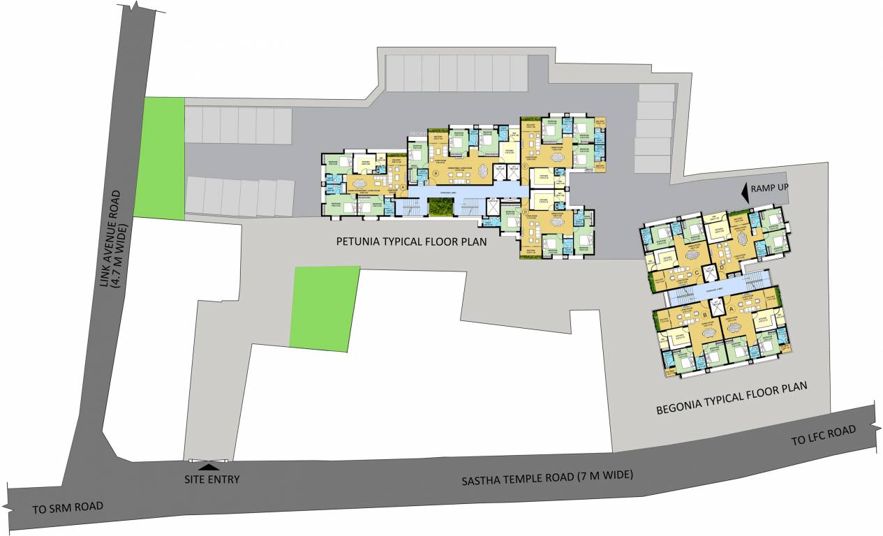 petunia and begonia Layout Plan