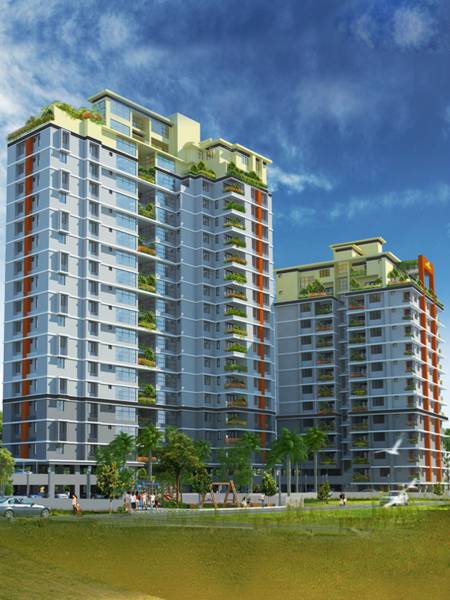 Elevation petunia-and-begonia Elevation