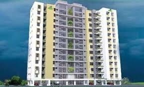 petunia and begonia Elevation