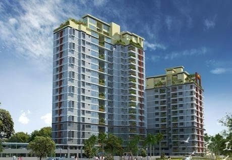 petunia and begonia Elevation