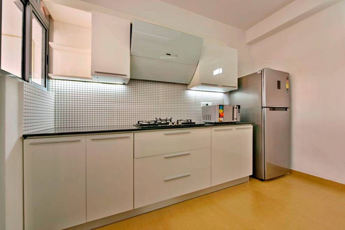 petunia and begonia Kitchen