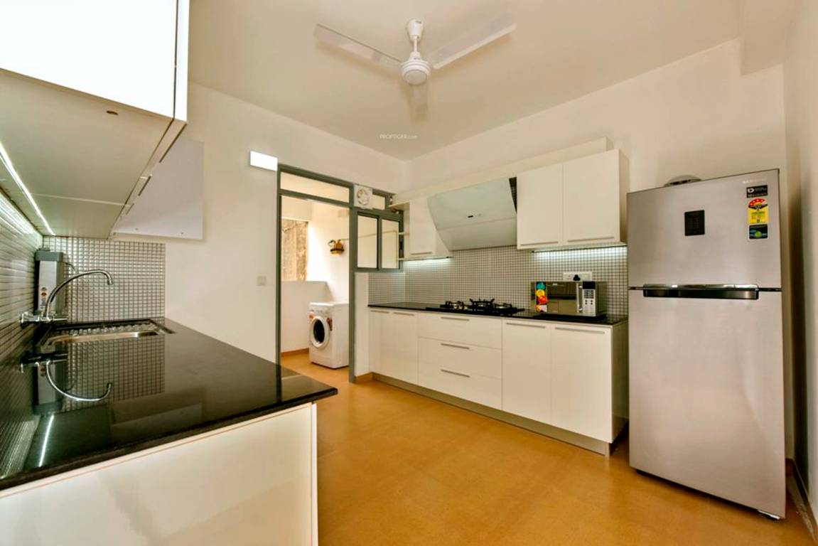 petunia and begonia Kitchen