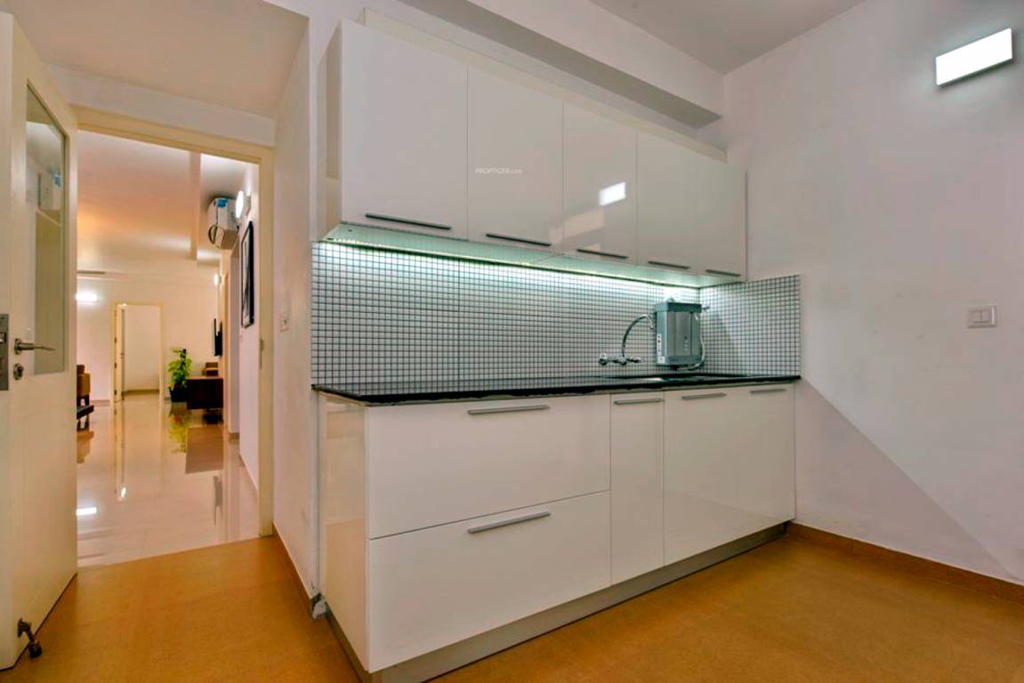 petunia and begonia Kitchen