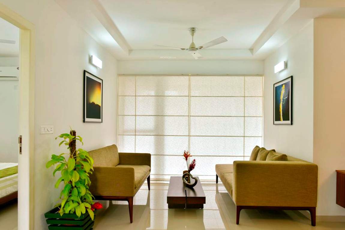 petunia and begonia Living Area