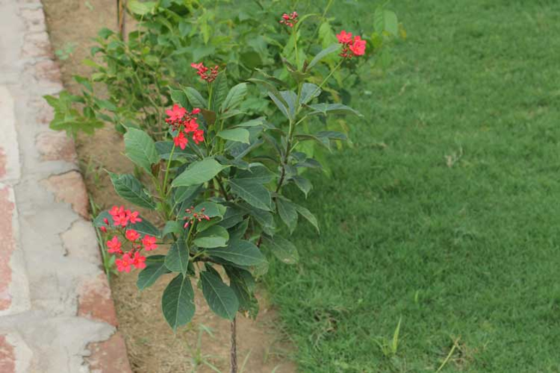 Images for Main Other of Pyramid Royal Residency