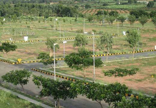 Images for Elevation of Golden Ira Plots