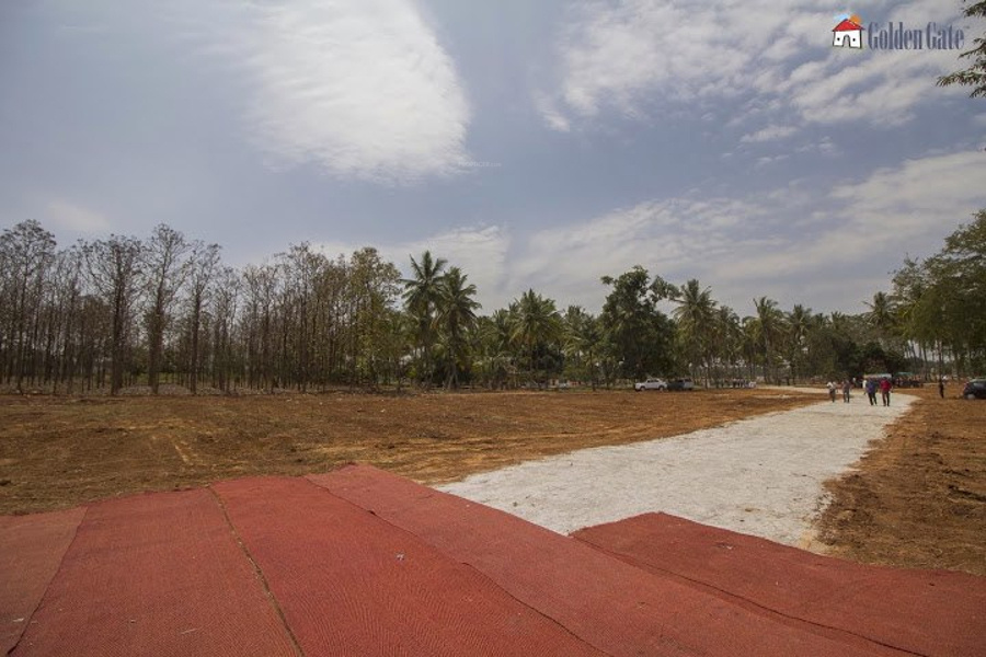 Images for Main Other of Golden Ira Plots