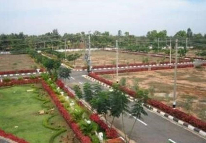 Images for Main Other of Golden Ira Plots