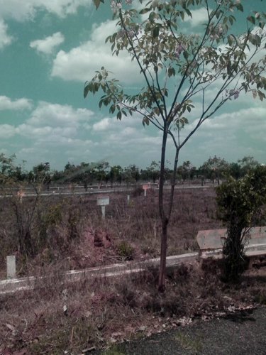 Images for Main Other of Aditya Coastal City