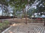 Landscape Garden and Tree Planting amenities of Pyramid Urban Homes