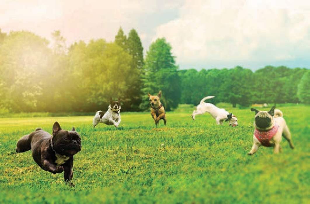 Images for Amenities of Sobha The Park And The Plaza