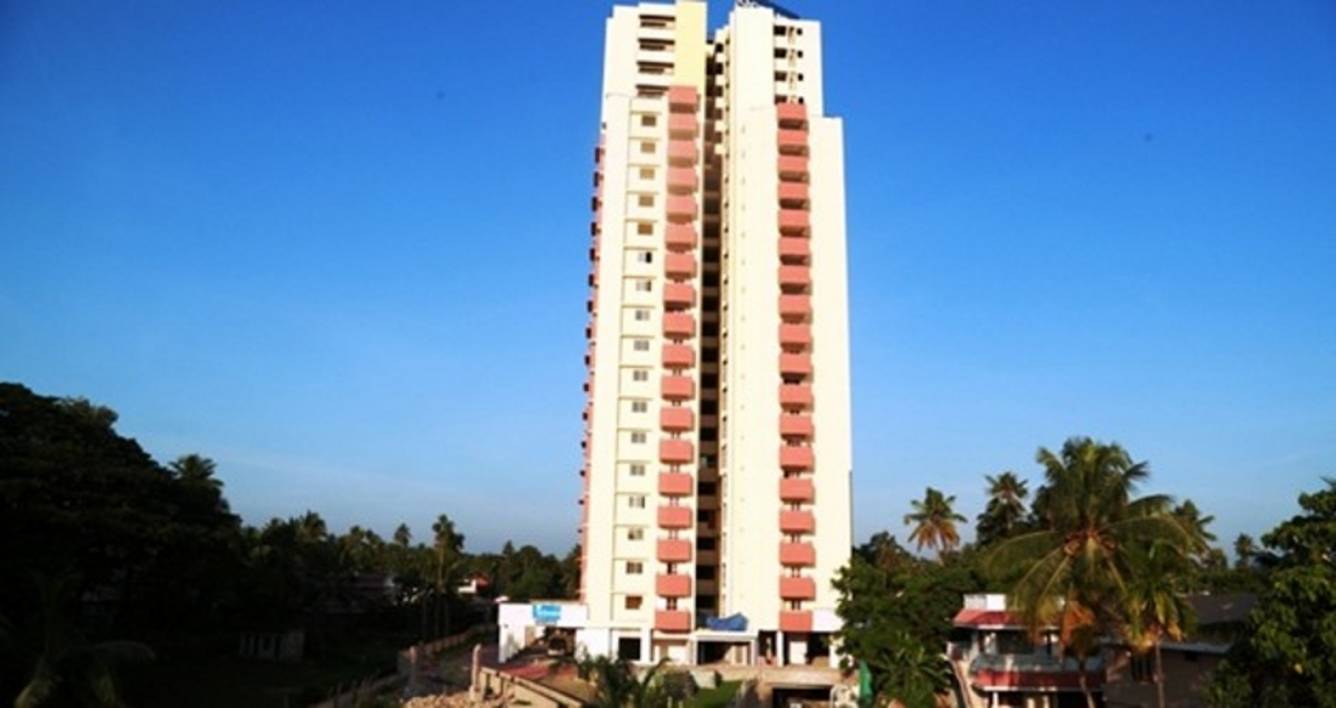 Images for Elevation of Oceanus Maple