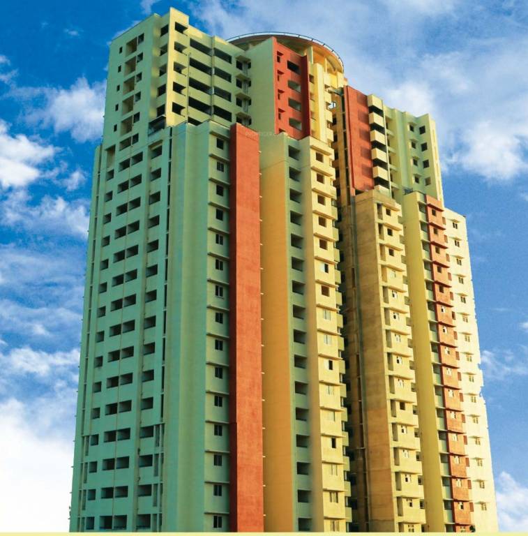 Images for Elevation of Oceanus Maple