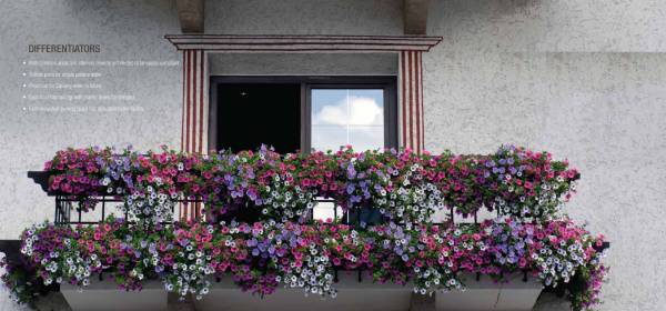 Images for Main Other of MV Rachana Images for Main Other of MV Rachana