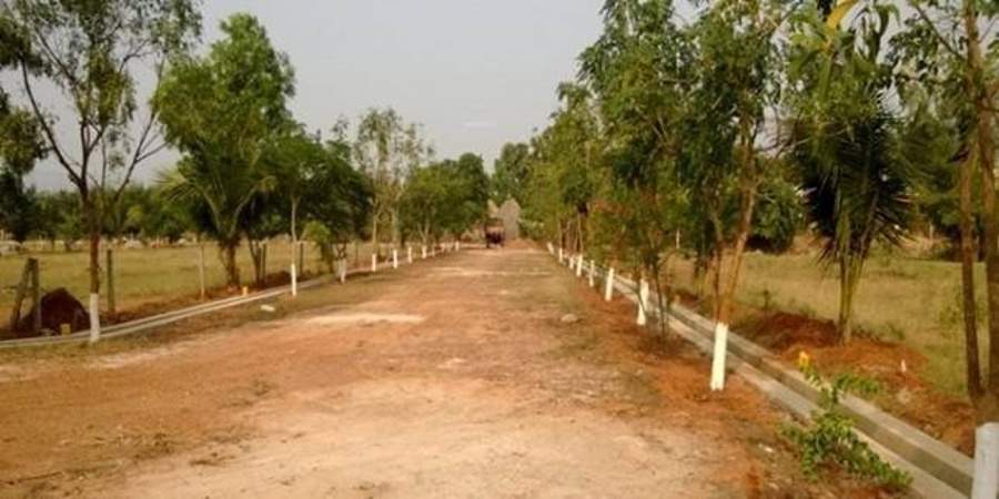 mazia properties vip walaja highway city Main Other