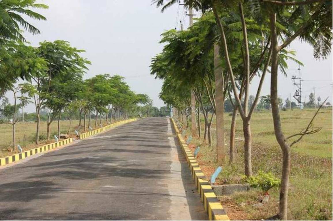  bvs avenues Elevation