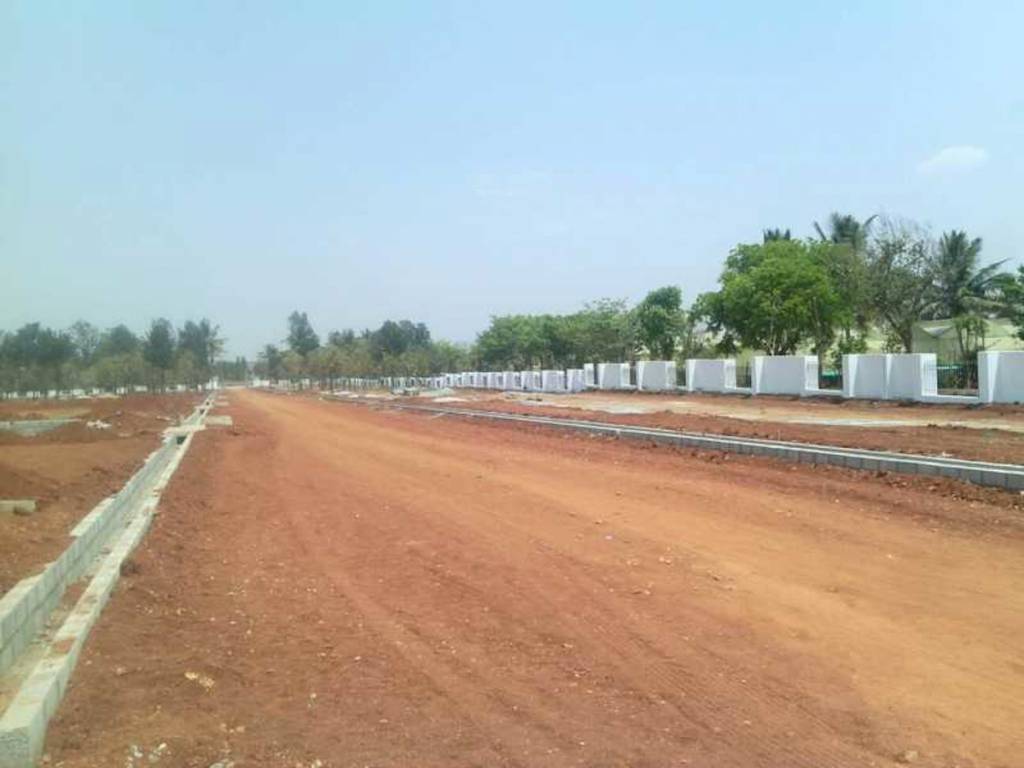  bvs avenues Elevation