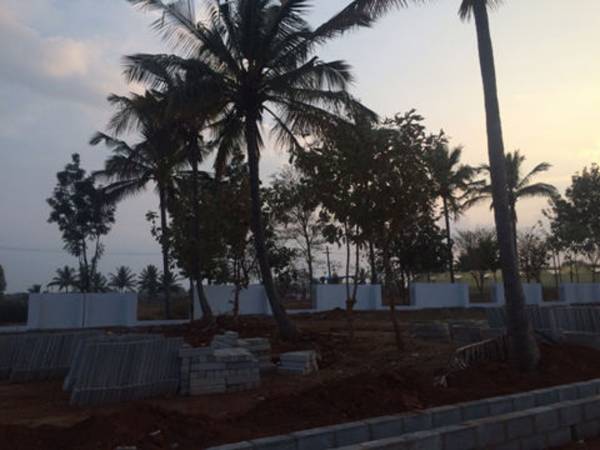 Images for Main Other of Orbis Bvs Avenues