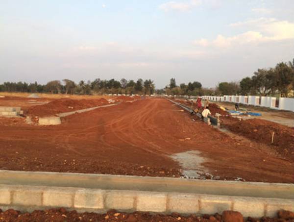 Images for Main Other of Orbis Bvs Avenues