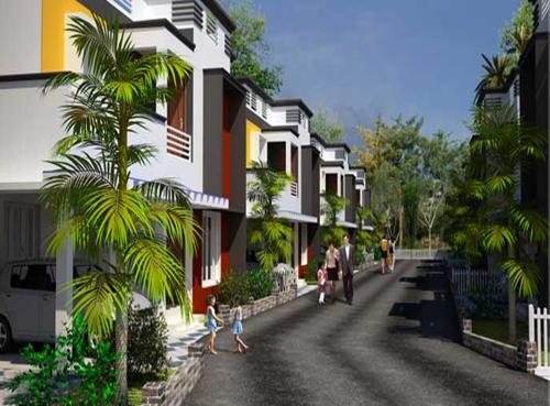 Images for Elevation of Sophia Orchid orchid Images for Elevation of Sophia Orchid